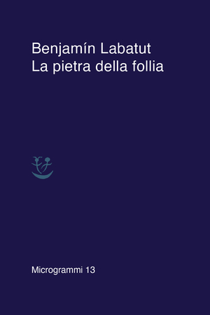Copertina del volume: La pietra della follia