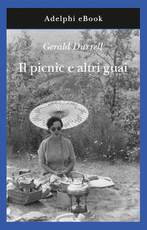 Copertina del volume: Il picnic e altri guai
