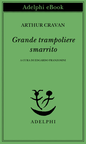Copertina del volume: Grande trampoliere smarrito