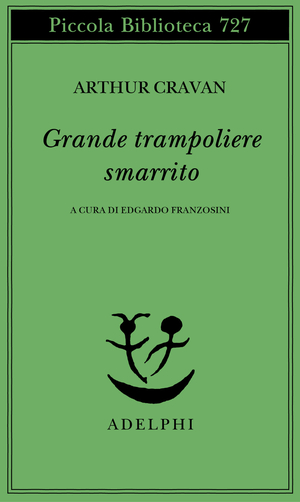 Copertina del volume: Grande trampoliere smarrito