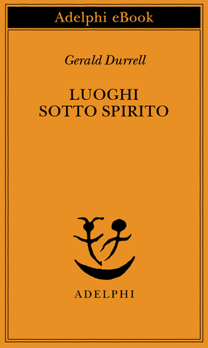 Copertina del volume: Luoghi sotto spirito