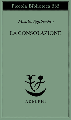 Copertina del volume: La consolazione