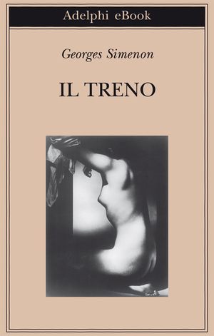 Copertina del volume: Il treno