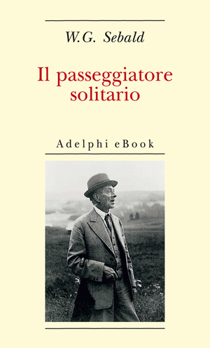 Copertina del volume: Il passeggiatore solitario