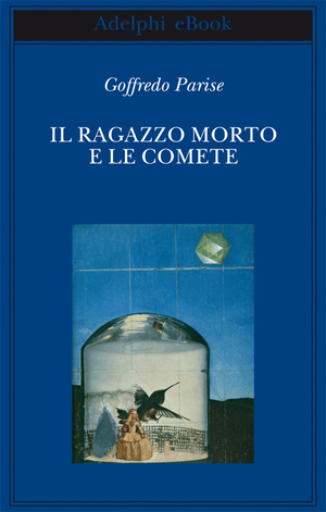 Copertina del volume: Il ragazzo morto e le comete