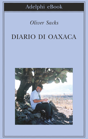 Copertina del volume: Diario di Oaxaca