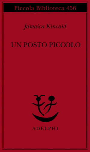 Copertina del volume: Un posto piccolo