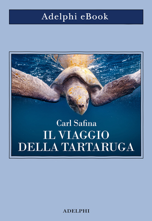 Copertina del volume: Il viaggio della tartaruga