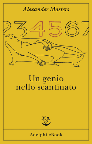 Copertina del volume: Un genio nello scantinato