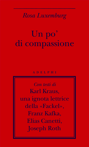 Copertina del volume: Un po’ di compassione