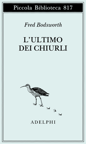 Copertina del volume: L’ultimo dei chiurli