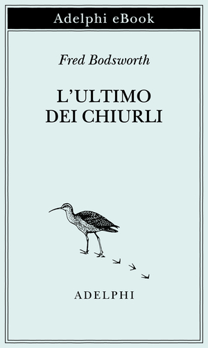 Copertina del volume: L’ultimo dei chiurli