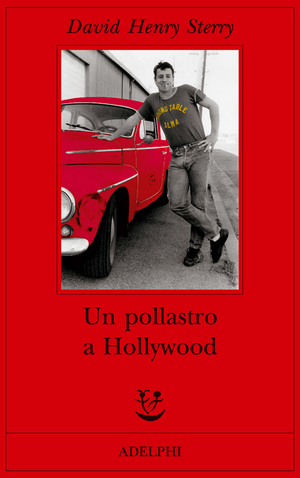 Copertina del volume: Un pollastro a Hollywood