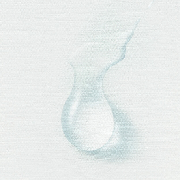 Han KangIl libro bianco