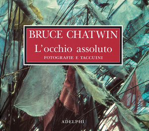 Copertina del volume: L&#146;occhio assoluto