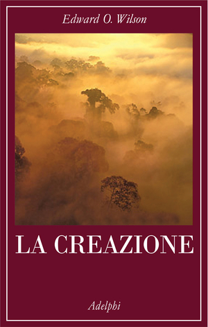 Copertina del volume: La creazione