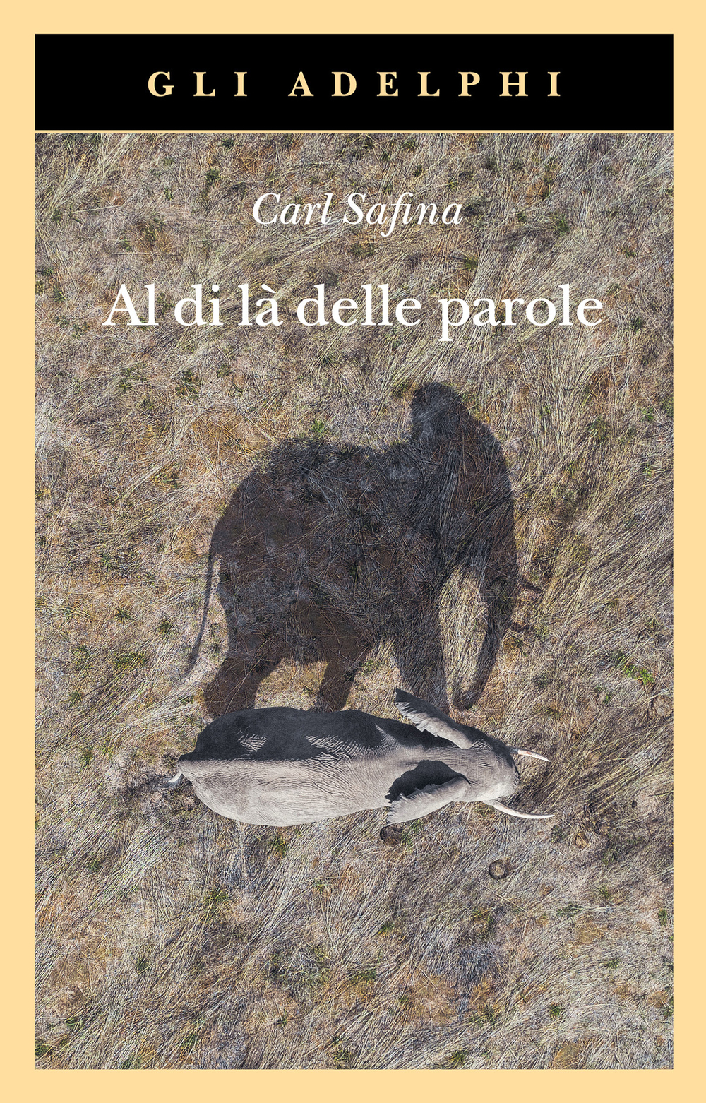 Copertina del volume: Al di là delle parole