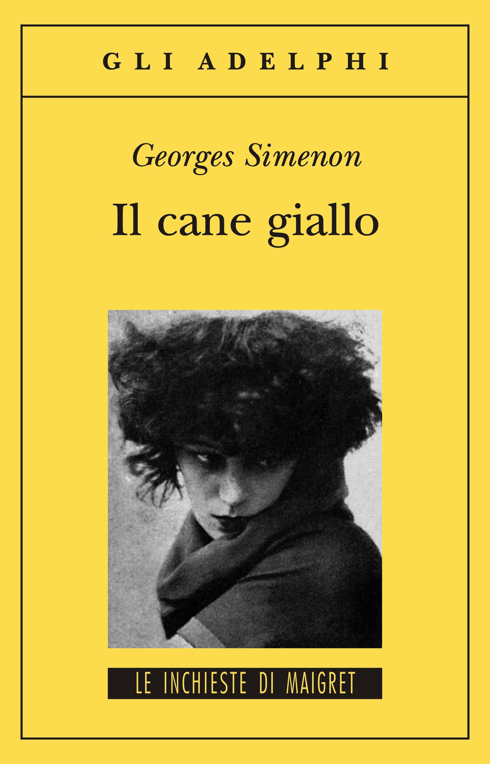 Copertina del volume: Il cane giallo