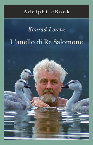 Copertina del volume: L’anello di Re Salomone