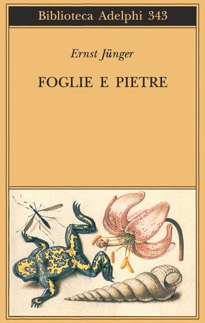 Copertina del volume: Foglie e pietre