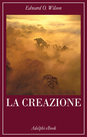 Copertina del volume: La creazione