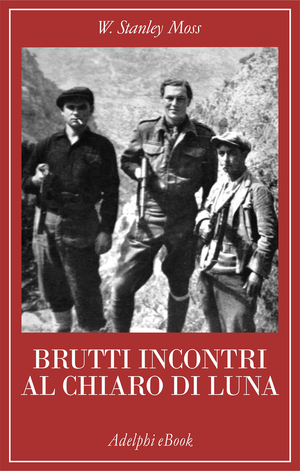 Copertina del volume: Brutti incontri al chiaro di luna
