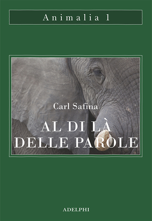 Copertina del volume: Al di là delle parole