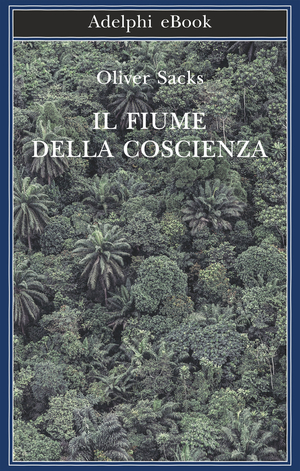 Copertina del volume: Il fiume della coscienza