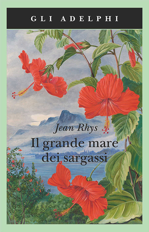 Copertina del volume: Il grande mare dei sargassi