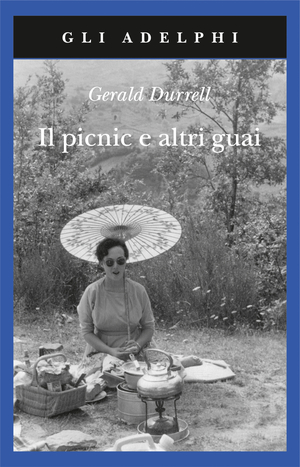 Copertina del volume: Il picnic e altri guai