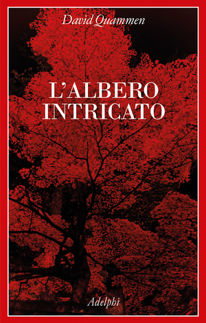 Copertina del volume: L’albero intricato