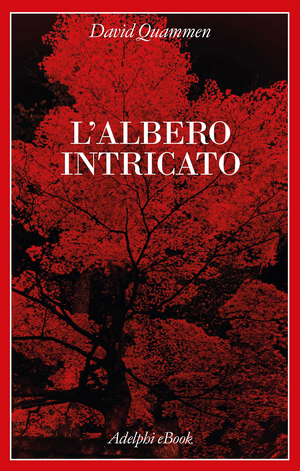 Copertina del volume: L’albero intricato