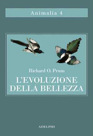 Copertina del volume: L’evoluzione della bellezza