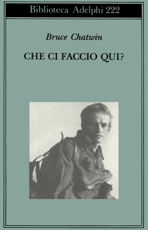Copertina del volume: Che ci faccio qui?